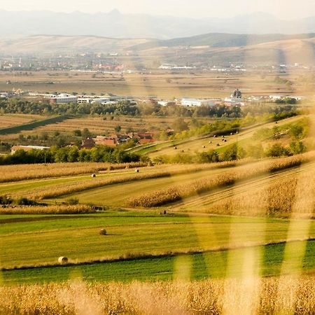 Pensiunea Casa Din VII Sóspatak Kültér fotó