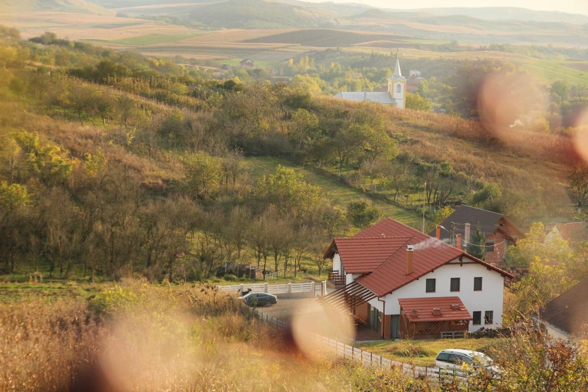 Pensiunea Casa Din VII Sóspatak Kültér fotó