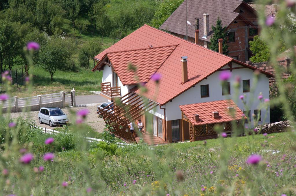 Pensiunea Casa Din VII Sóspatak Kültér fotó