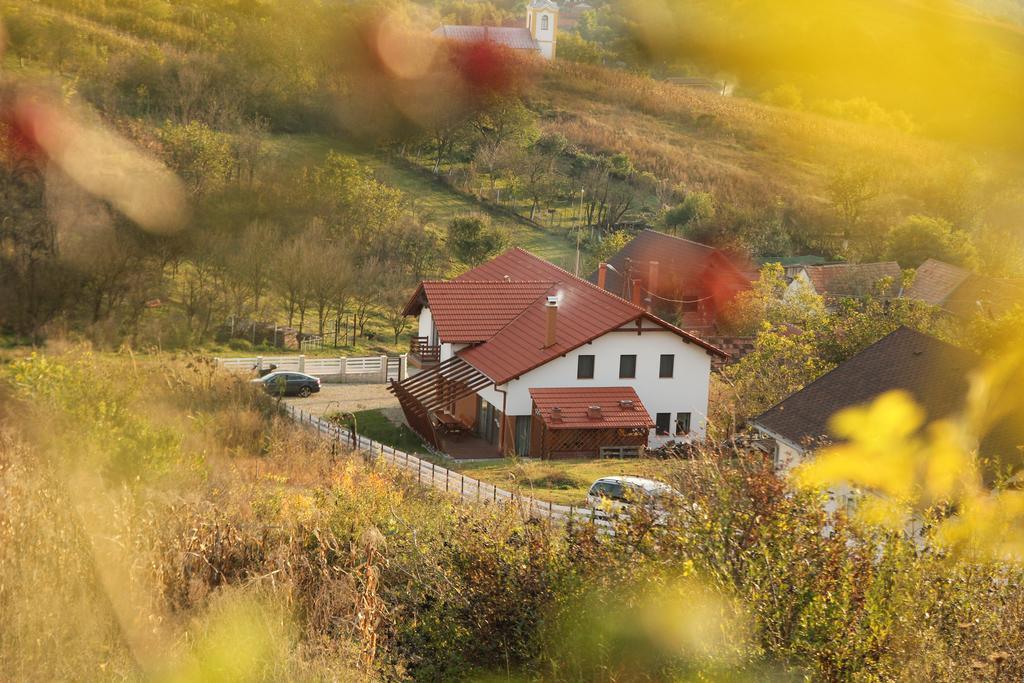 Pensiunea Casa Din VII Sóspatak Kültér fotó